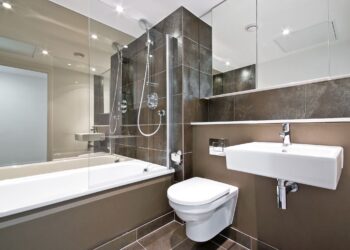 7 Tips for Finding Your Perfect Toilet